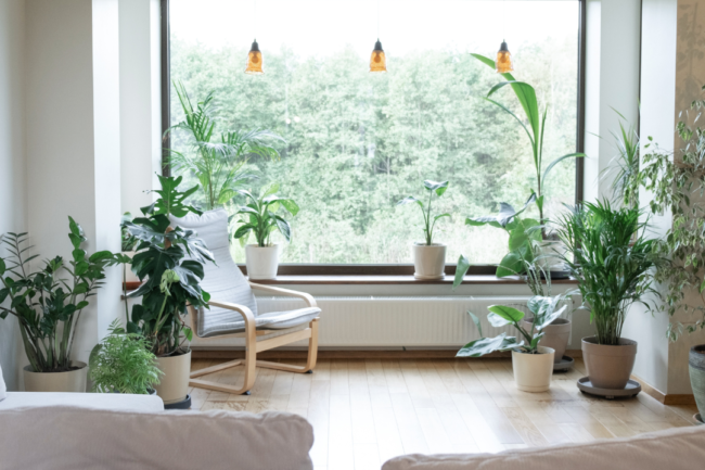 The Future of Home Improvement: Window Tinting in Salida